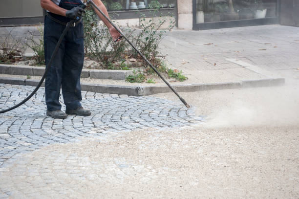 Best Driveway Pressure Washing  in West Reading, PA